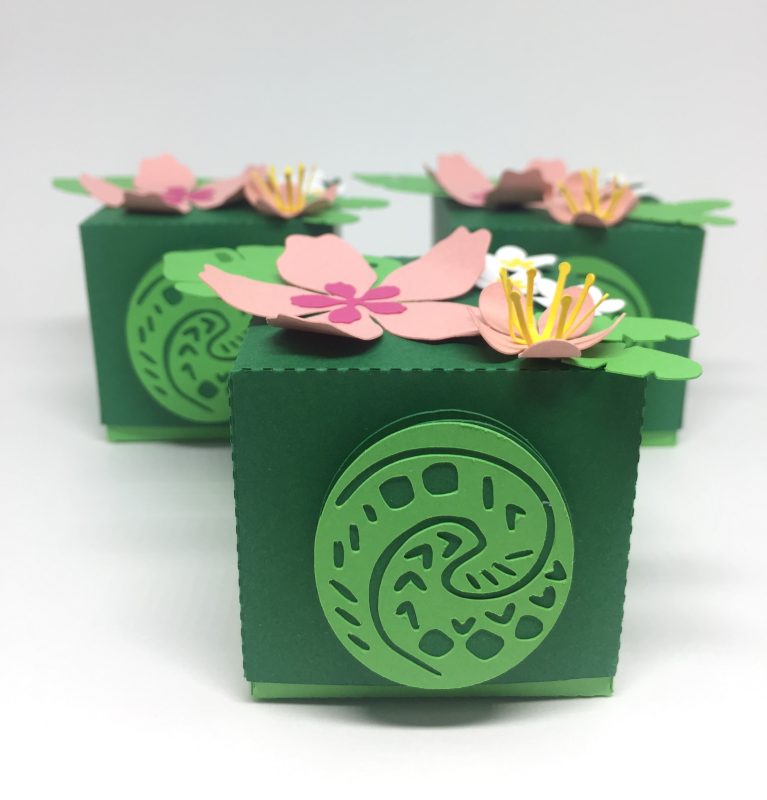 Caixa Te Fiti_ Moana PF