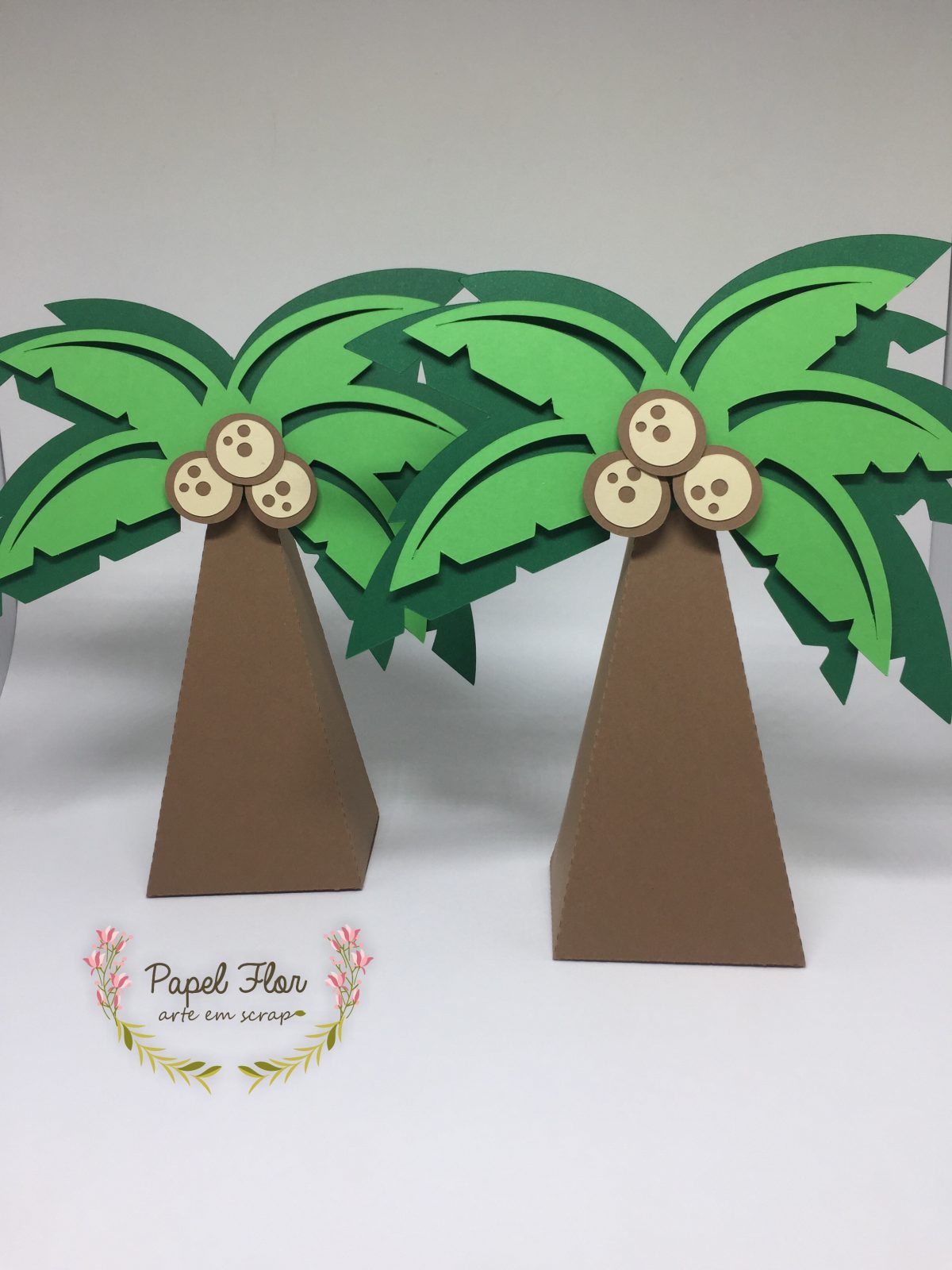 Caixa Cone Coqueiro_ Moana PF