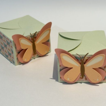 Caixa bem-nascido Borboleta + tag _ PF
