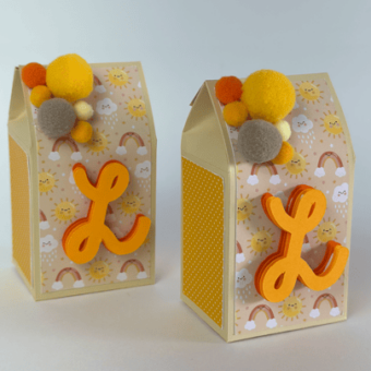 Caixa Milk Primeira volta ao sol_PF