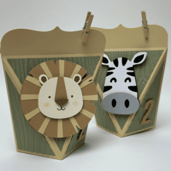 Caixa Polígono Leão e Zebra_PF